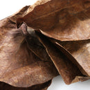 10Pcs Aquarium Natural Terminalia Leaves Reduce Ph Improve Water Quality Water Purifier