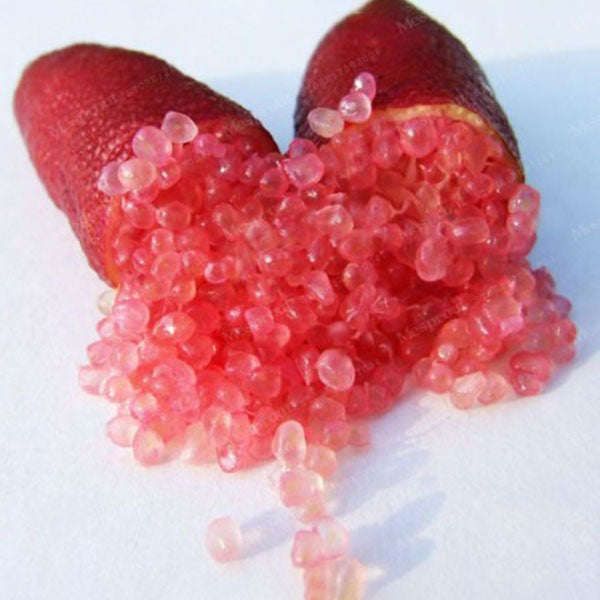 Egrow 20 Pcs/Pack Finger Limes Citrus Orange Seeds Garden Balcony Bonsai Fruit Tree Seed Planting