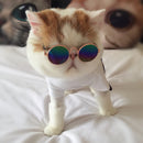 Cute Cat Puppy Pet Glasses Eye Wear Sunglasses Straw Hat Photo Props Cool Toys