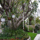 Bird Scare Rods Effective Hanging Bird Repeller Wind Twisting Scare Rods Spiral Bird Driving Device