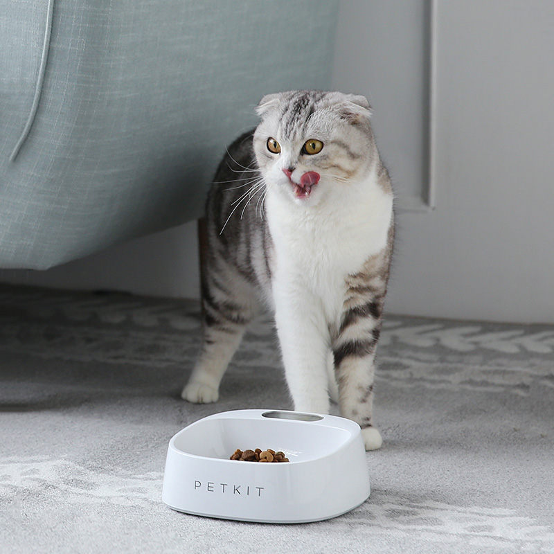 PETKIT Pet Smart Pet Fedding Bowl Automatic Weighing Food Dog Food Bowl Digital Feeding Bowl Stand Dog Feeder Drinking Bowls From Xiaomi Youpin