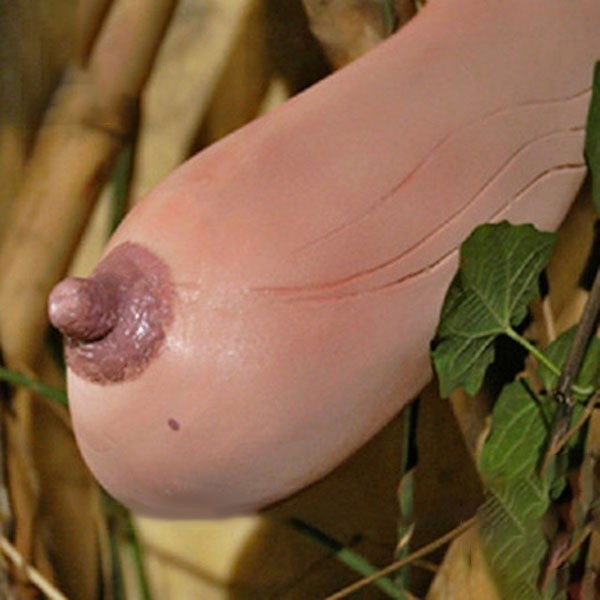 Egrow 50 Pcs/Pack Vietnam Milk Funny Melon Seeds Garden Balcony Vegetable Fruit Plants Seed