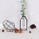 Glass Test Tube Flower Plant Pot Vases Fairy Hydroponic Vase Terrarium Container