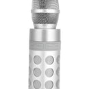 Rechargeable Wireless Mic AUX TF Card bluetooth Speaker Karaoke Recording Microphone Music Player