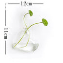Flower Plant Stand Hanging Vase Hydroponic Ball Transparent Clear Glass Round Terrarium Container Home Wedding Garden Decorations