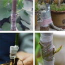 Nursery Grafting Stretchable Tape Self-Adhesive For Garden Tree Seedling 2cm6cm80m