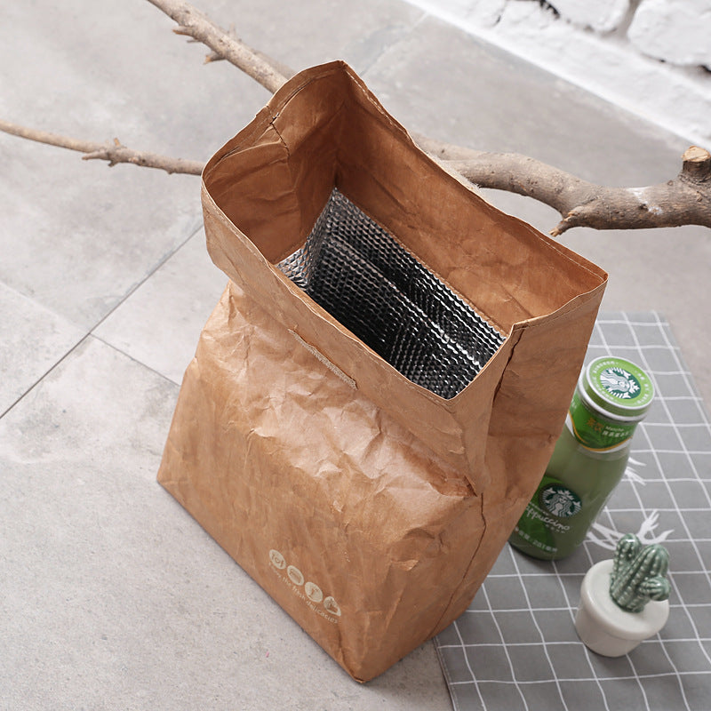 SANNE 6L Brown Paper Lunch Bag Reusable Box Sack Durable Insulated Thermal Kraft Paper Bag Snack
