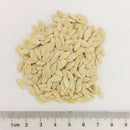 Egrow 20Pcs/Pack Orange Cucumber Seeds Fresh Crisp Vegetable Fruit Seed For Balcony Garden Planting