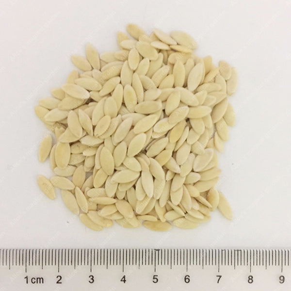 Egrow 20Pcs/Pack Orange Cucumber Seeds Fresh Crisp Vegetable Fruit Seed For Balcony Garden Planting