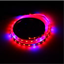 1M SMD5050 Red:Blue 5:1 Full Spectrum LED Grow Strip Light  Hydroponic Greenhouse Plant DC12V