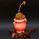 Egrow 100Pcs/Bag Sedeveria Letizia Cactus Seeds Lotus Lithops Succulent Bonsai Potted Flower Seed