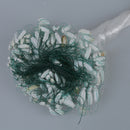 25m Clear White Green Monofilament Fishing Fish Gill Net w Float Z9O1
