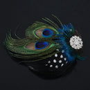 Cute Peacock Feather Hair Clip