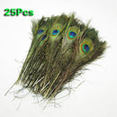 Pack of 25pc Natural Peacock Feathers 10-12'' X7S5
