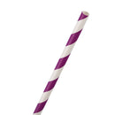 Paper Party Striped Straws Purple/White R6A4
