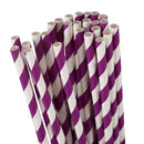 Paper Party Striped Straws Purple/White R6A4