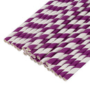 Paper Party Striped Straws Purple/White R6A4