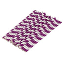 Paper Party Striped Straws Purple/White R6A4