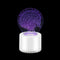 5V 3W USB Electronic Power Mosquito Insect Killer Lamp No Smell Mute Indoor Repellent Trap