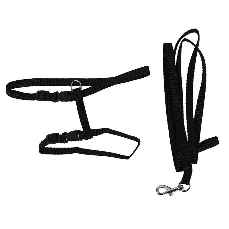 Adjustable Pet Cat Kitten Nylon Lead Leash Harness Set J2R5