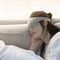 5V 5W USB Hot Steam Rest Eye Mask Patch Outdoor Travel Airplane Eyeshade Cover Blindfold from Xiaomi Youpin