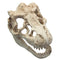 Dragon Resin Aquarium Decoration Crocodile Skull For Fish Tank Resin Ornament