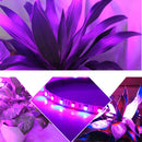 1M 2M 3M 4M 5M 3:1 5050 SMD LED Non-waterproof Hydroponic Plant Grow Strip Light DC12V