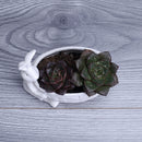 Rabbit Basket Shape Pot Succulent Planter Herb Flower Gardening Box Case Decor