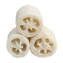 3PCS Natural Loofah Bath Body Shower Sponge Scrubber (Large) Y1S2
