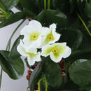 1 piece Hanging Artificial Violet Garland Flower Vine Wedding Cake Decorati