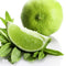 20Pcs Lime Seeds Citrus Aurantifolia Organic Fruit Seeds Lemon Tree Bonsai for Home Garden
