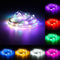 12V 5M 50LED Silver Wire Christmas String Fairy Light Remote Controller without Adapter