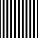 8x8FT Black White Stripes Wall Photography Studio Vinyl Background Backdrop