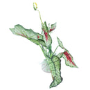 Artificial Plastic Fabric Aquascaping Plant Grass for Fish Tank Aquarium