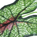 Artificial Plastic Fabric Aquascaping Plant Grass for Fish Tank Aquarium