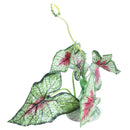 Artificial Plastic Fabric Aquascaping Plant Grass for Fish Tank Aquarium