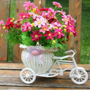 Handmade Tricycle/Bike Shape Flower Basket for Flower Storage/Arrangement J7Z1