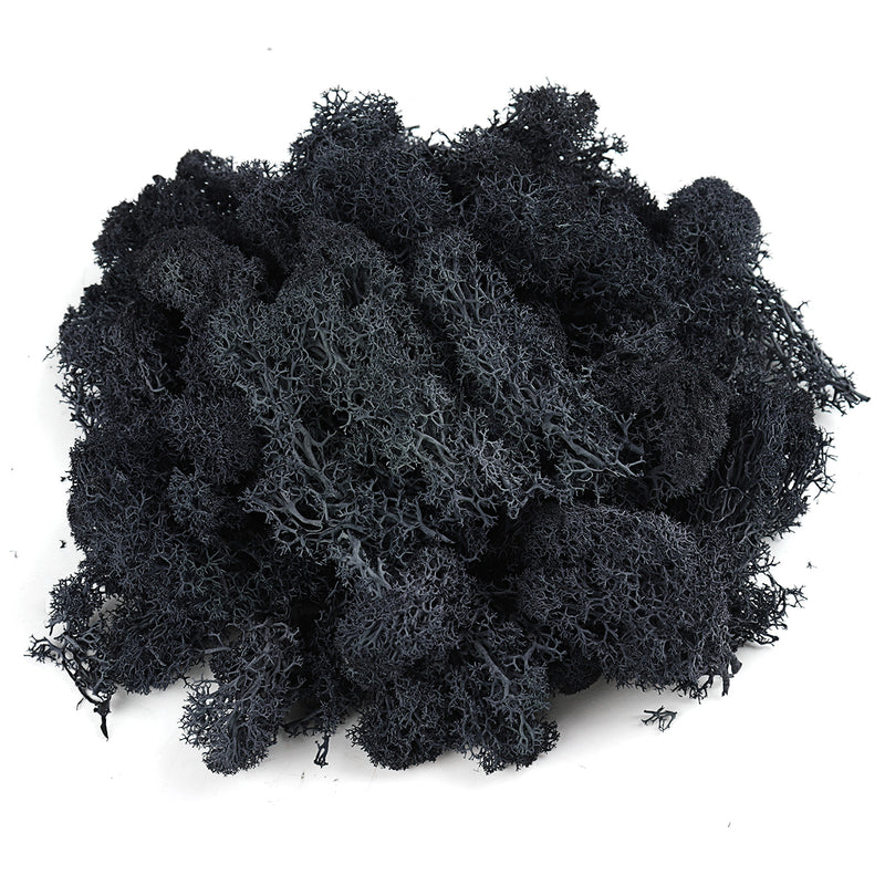 200g Natural Norwegian Reindeer Moss Preserved Dried Craft Flower Decorations