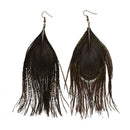 5 pairs real multicolor feather of Peacock of the Pendants earrings T9J2