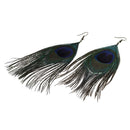 5 pairs real multicolor feather of Peacock of the Pendants earrings T9J2