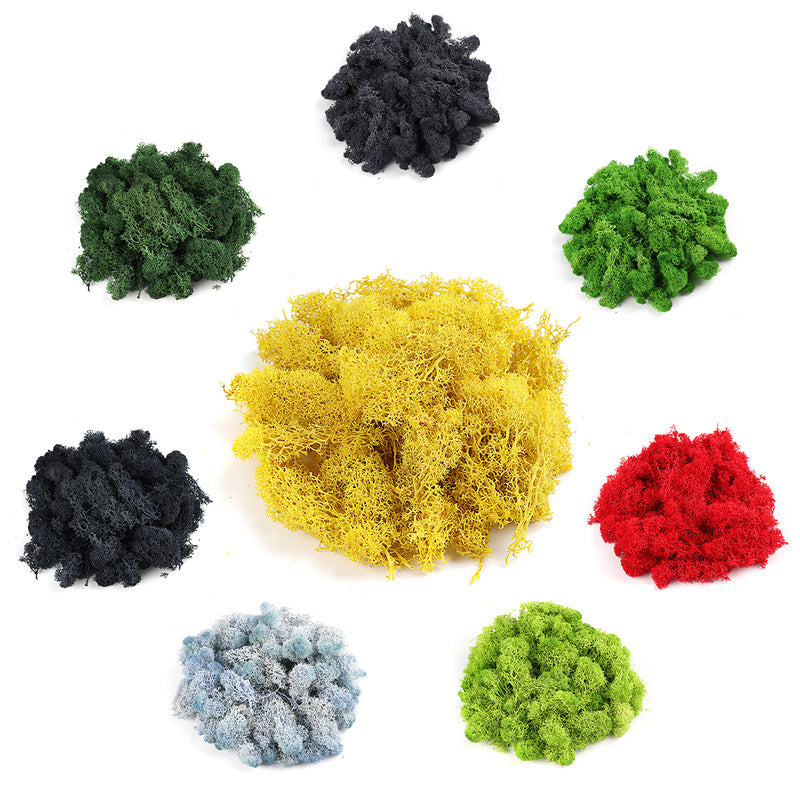 200g Natural Norwegian Reindeer Moss Preserved Dried Craft Flower Decorations