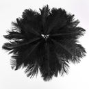 20 x natural ostrich feather 25-30 cm black party decoration C1N5