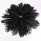 20 x natural ostrich feather 25-30 cm black party decoration C1N5
