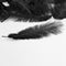 20 x natural ostrich feather 25-30 cm black party decoration C1N5