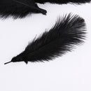 20 x natural ostrich feather 25-30 cm black party decoration C1N5