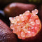20Pcs Tropical Fruit Seeds Finger Limes Citrus Pomegranate Seeds Home Garden Balcony Rare Plants