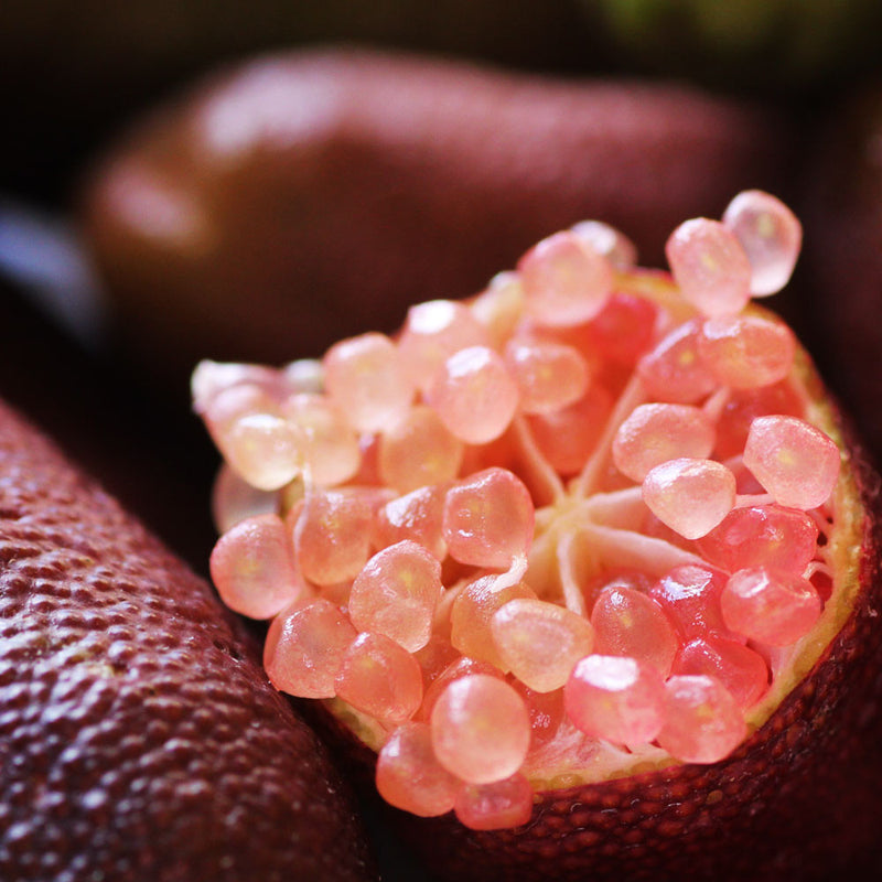 20Pcs Tropical Fruit Seeds Finger Limes Citrus Pomegranate Seeds Home Garden Balcony Rare Plants