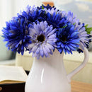 Egrow 100Pcs/Pack Gerbera Daisy Seeds Majorette Blue Halo Fragrant Bellis Flower Seeds