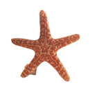 Marine Life Plush Pillows Conch & Shell & Starfish Stuffed Plush Toy Cute Cushion Dolls