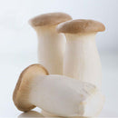 Egrow 50Pcs/Pack Mushroom Seeds Garden Planting Edible Pleurotus Eryngii Seeds Vegetable Seeds